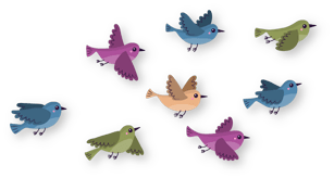 bird002