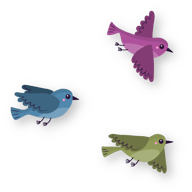  bird001